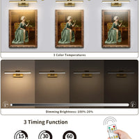 5000MAh LED Picture Light With 3 Color Temperature, Remote-Control Wall Light For Living Room, Gallery & Art Exhibition