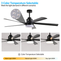 65 Inch Black Ceiling Fan with Light, 5-Blade Dimmable LED Ceiling Fan with Remote Control, Modern Quiet Design