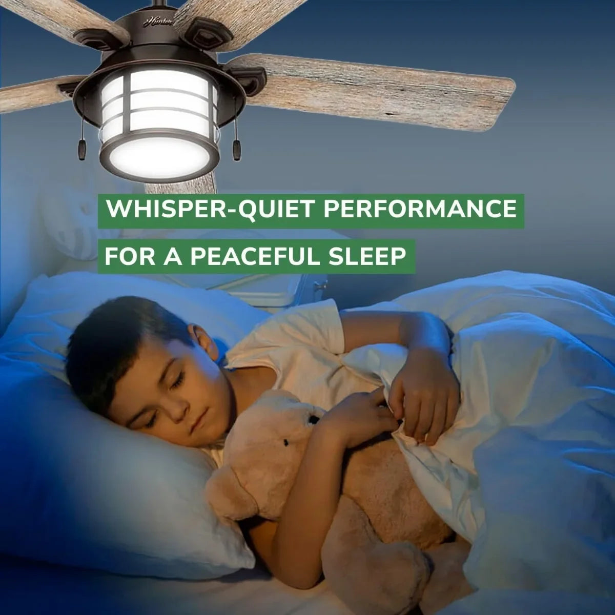 54" Ceiling Fan with Bright LED Lights, Reversible Motor, Indoor/Outdoor Use, 54" D x 54" W x 10.07" H