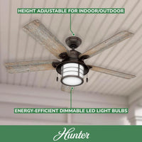 54" Ceiling Fan with Bright LED Lights, Reversible Motor, Indoor/Outdoor Use, 54" D x 54" W x 10.07" H
